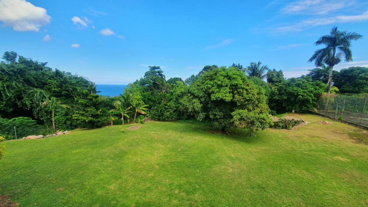Villa Dianna - Entire Villa, Roof Terrace, Pool, Garden, Sea Views Near Dunn'S River โอโชรีโอส ภายนอก รูปภาพ