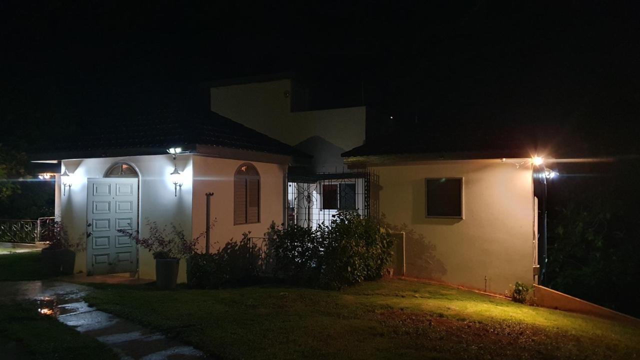 Villa Dianna - Entire Villa, Roof Terrace, Pool, Garden, Sea Views Near Dunn'S River โอโชรีโอส ภายนอก รูปภาพ